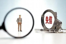 茂港专业讨债公司有哪些核心服务？