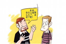 茂港茂港的要账公司在催收过程中的策略和技巧有哪些？